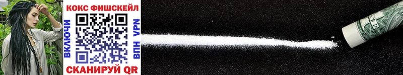 COCAIN Fish Scale  ОМГ ОМГ   Карпинск 