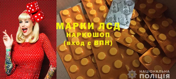 гашик Михайлов