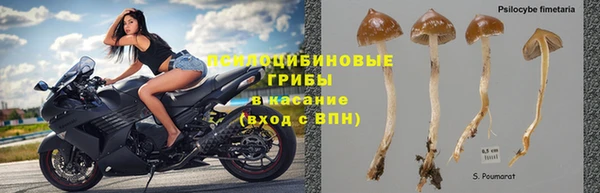 кокс Медвежьегорск