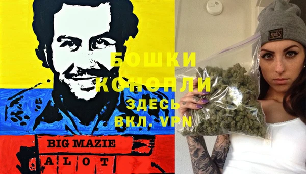 гашик Михайлов