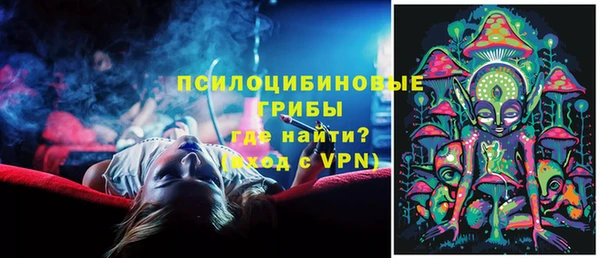 гашик Михайлов