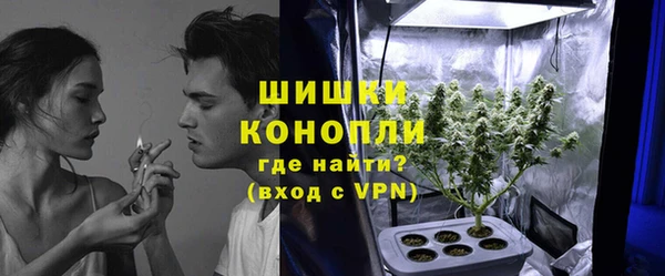 гашик Михайлов