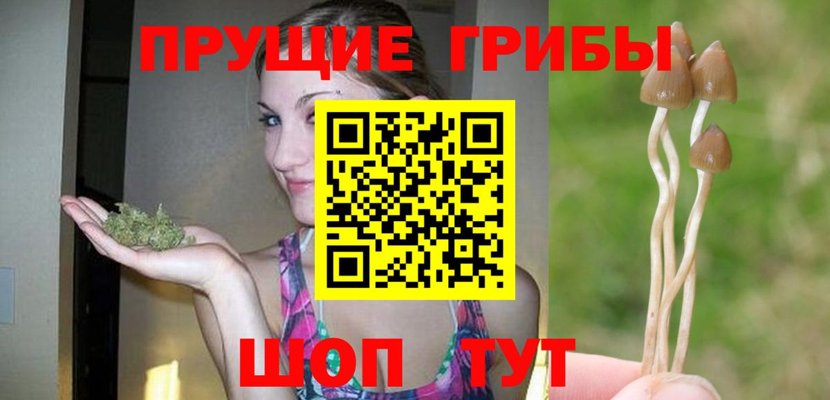 Карпинск  Галлюциногенные грибы MAGIC MUSHROOMS  Вход с VPN 